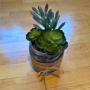 Succulent in Glass Jar not real